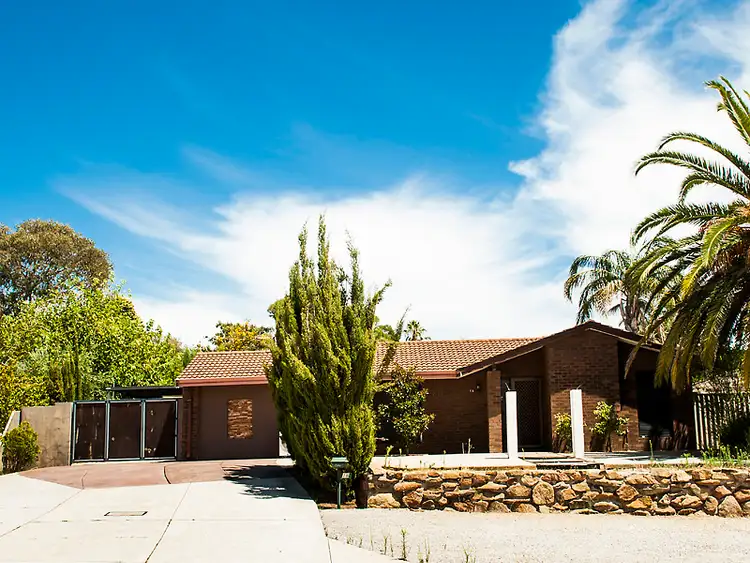 Main view of Homely house listing, 16 Chancery Lane, Alexander Heights WA 6064