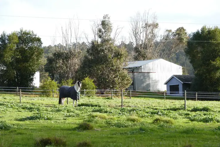 Fifth view of Homely rural property listing, 665 Brookhampton Road, Thomson Brook WA 6239