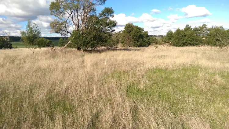 Sixth view of Homely land listing, Lot 41 Derwent Jacks Road, Berringa VIC 3351