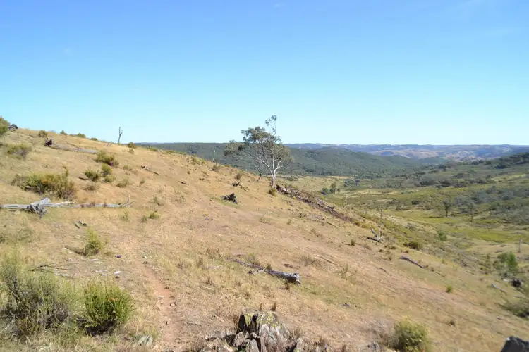 Sixth view of Homely rural property listing, "Lawlers Flat" Hill End Road, Hill End, Mudgee NSW 2850