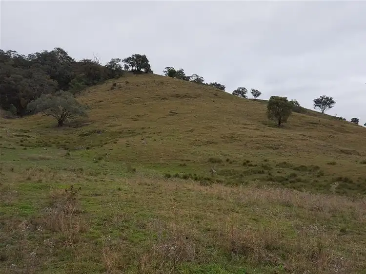 Fifth view of Homely rural property listing, 545 Yarrabin Road, Mudgee NSW 2850