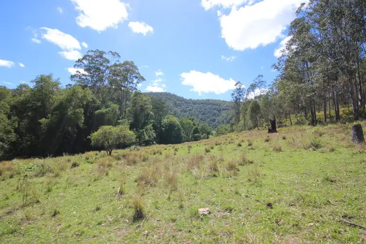 Fourth view of Homely rural property listing, Lot 133 Forbes River Road, Birdwood NSW 2446
