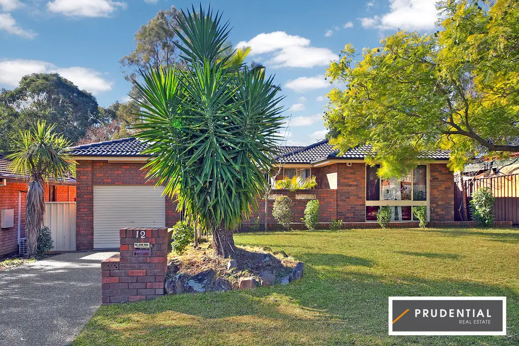 Main view of Homely house listing, 12 Geranium Avenue, Macquarie Fields NSW 2564