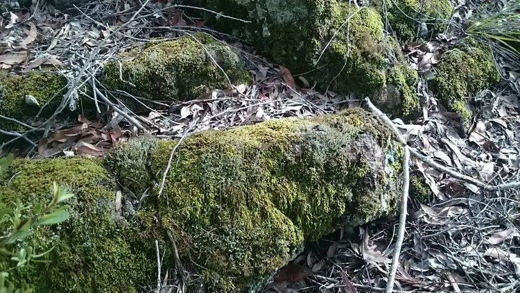 Seventh view of Homely rural property listing, Address available on request