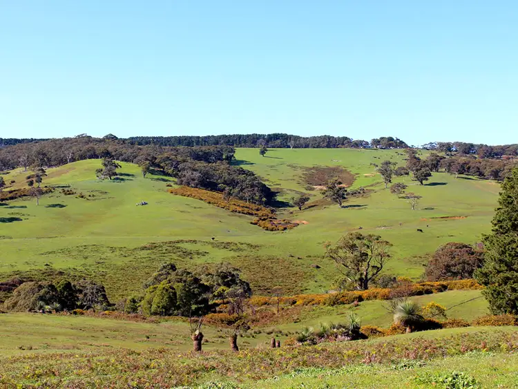 Sixth view of Homely rural property listing, Lot 20 Main South Rd, Delamere SA 5204
