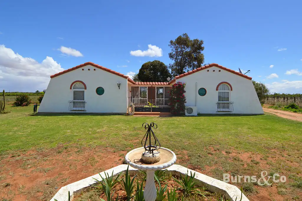 Main view of Homely house listing, 62 Quandong Avenue, Merbein VIC 3505