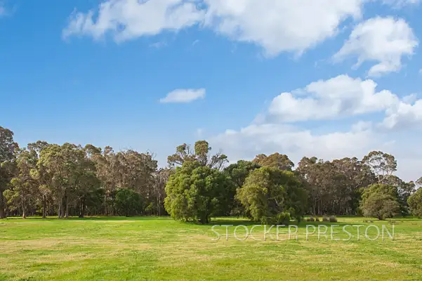 Main view of Homely rural property listing, 50 Coostien Road, Scott River WA 6288