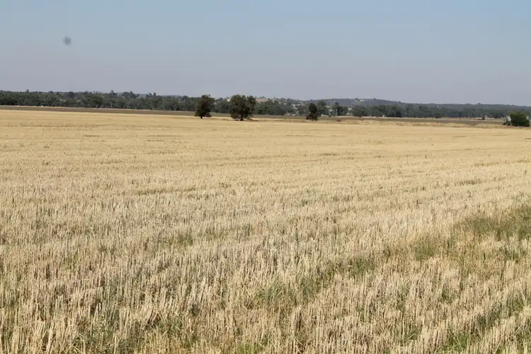 Third view of Homely rural property listing, - Wattleflat, Walleroobie NSW 2665