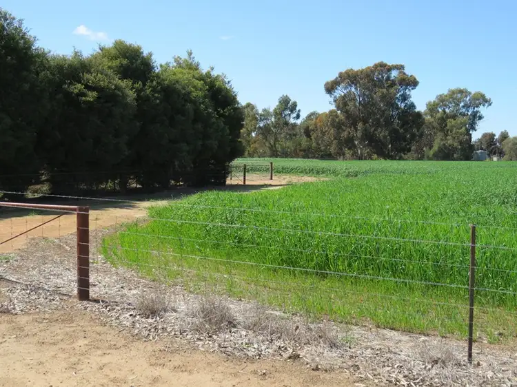 Third view of Homely rural property listing, 21380 Riverina Highway, Deniliquin NSW 2710