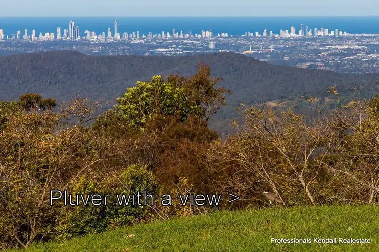 Second view of Homely land listing, 91 Guanaba Road, Tamborine Mountain QLD 4272