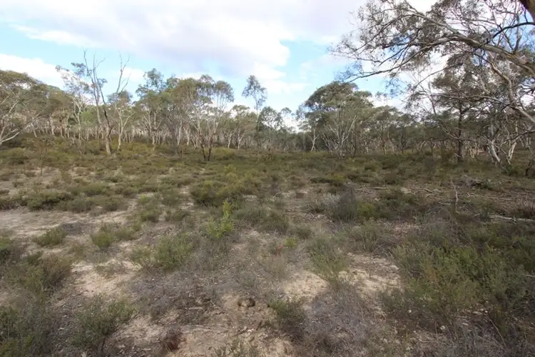 Fifth view of Homely rural property listing, 1546 Sofala Road, Peel NSW 2795