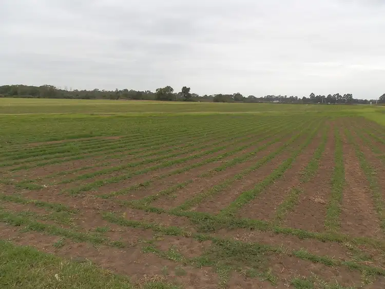 135 Argyle Reach Rd, Wilberforce NSW 2756