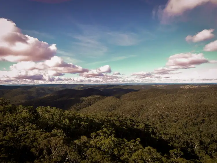 Fifth view of Homely rural property listing, 705 Bannaby Road, Bannaby NSW 2580