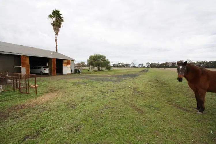 Third view of Homely rural property listing, 293 Kiandool Lane, Bohena Creek NSW 2390
