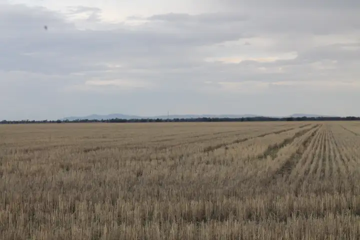 Third view of Homely rural property listing, - 'Argyle' & 'Melba Downs, Quandialla NSW 2721