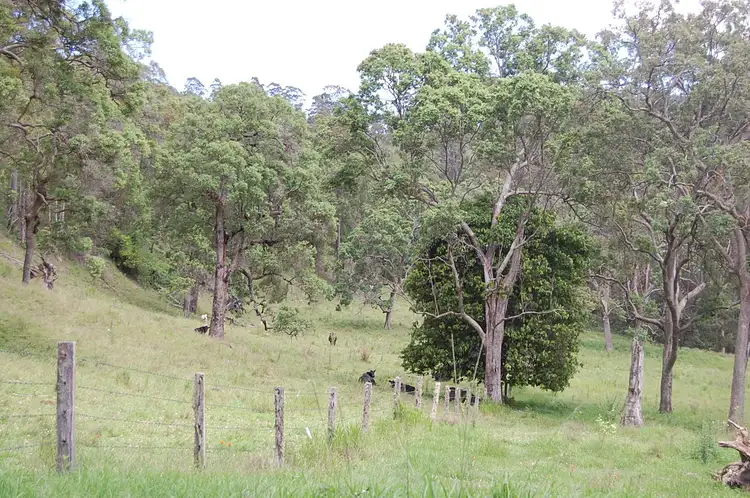 Sixth view of Homely rural property listing, Lot 2, 166 Farm Road, Bonalbo NSW 2469