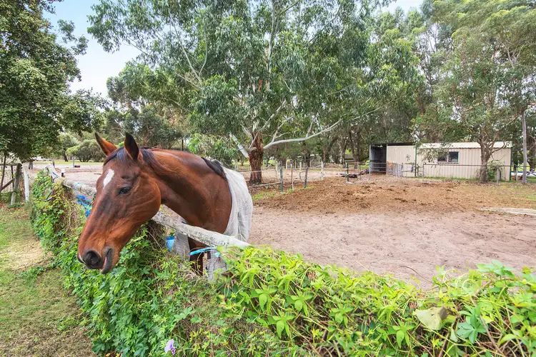 Fourth view of Homely house listing, 40 Possum Place, Vasse WA 6280