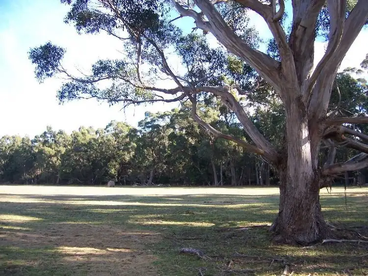 Fourth view of Homely rural property listing, 111485/1 Nubeena Road, Koonya TAS 7187