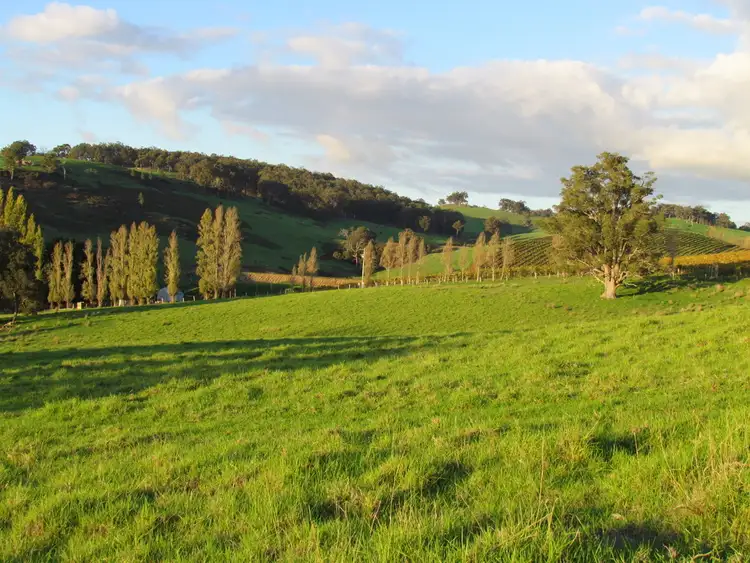 Seventh view of Homely rural property listing, Address available on request