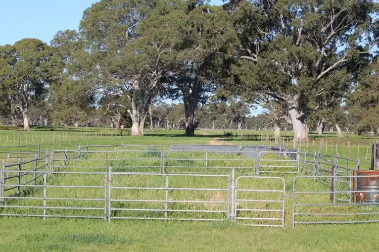 Third view of Homely rural property listing, 1 Wattle Range Road, Millicent SA 5280