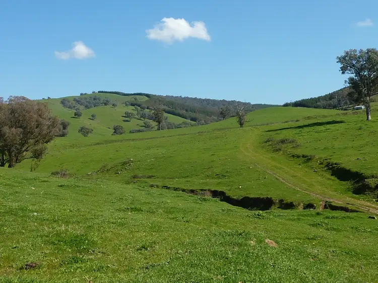 Seventh view of Homely rural property listing, 642 Westbrook Road, Tarcutta via, Wagga Wagga NSW 2650