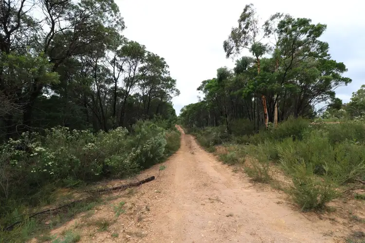 Seventh view of Homely land listing, 482 Oallen Road, Nerriga NSW 2622