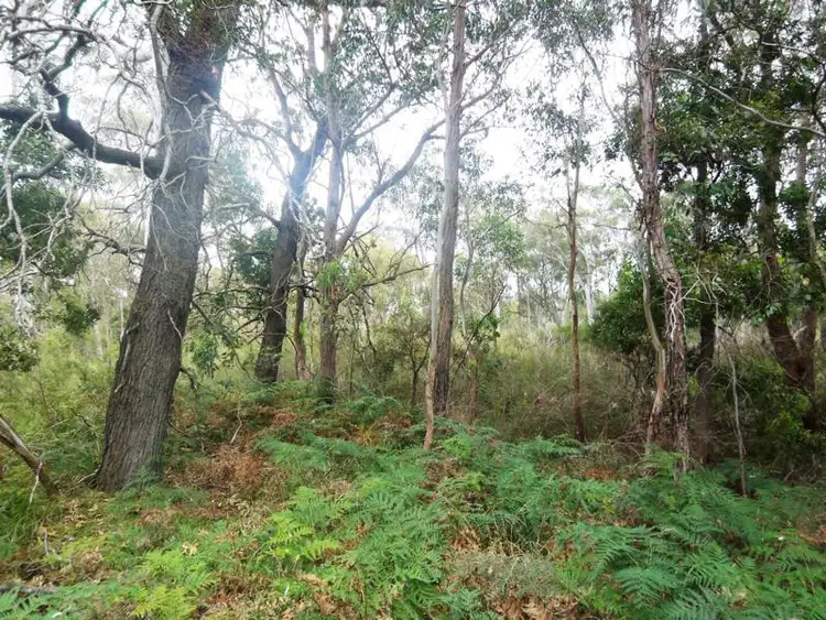 Seventh view of Homely rural property listing, Lot 2 South Gippsland Highway, Woodside VIC 3874