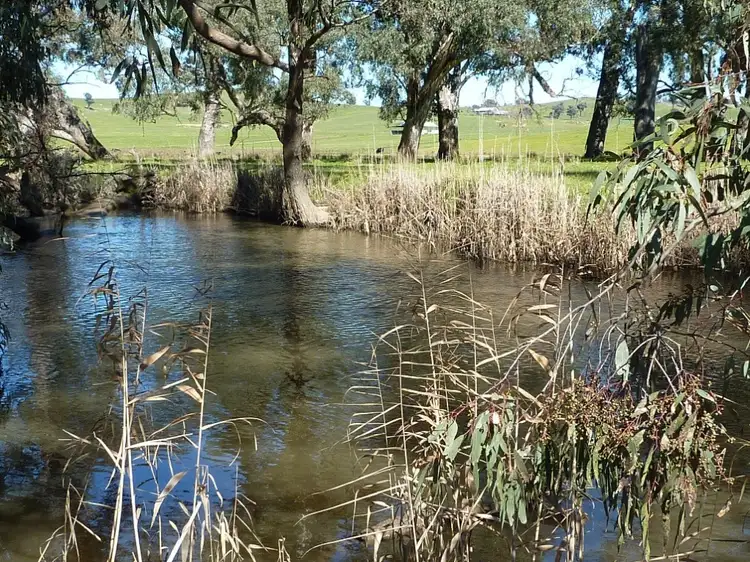 Second view of Homely rural property listing, 415 Sturt Highway, Wagga Wagga NSW 2650