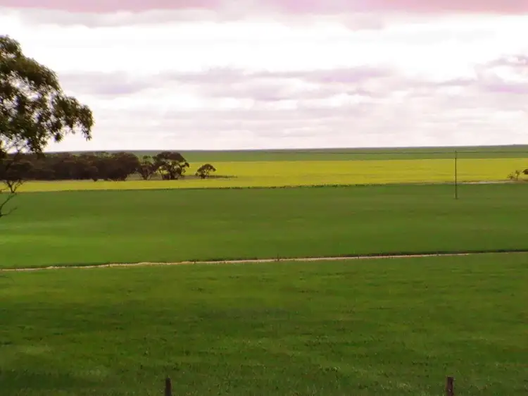 Fourth view of Homely rural property listing, "Gangalla" Secs.2,3and6 Tooligie Rd, Hundred of Tooligie, Tooligie SA 5607
