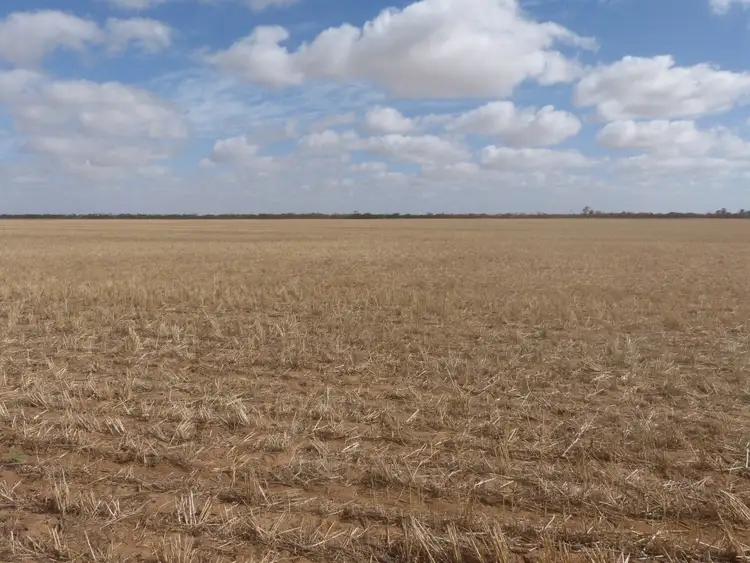 Third view of Homely rural property listing, 49 Gurrai Road, Parilla SA 5303