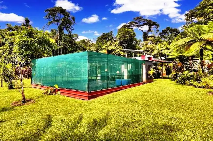 Sixth view of Homely house listing, 1466 Cape Tribulation Road, Daintree QLD 4873