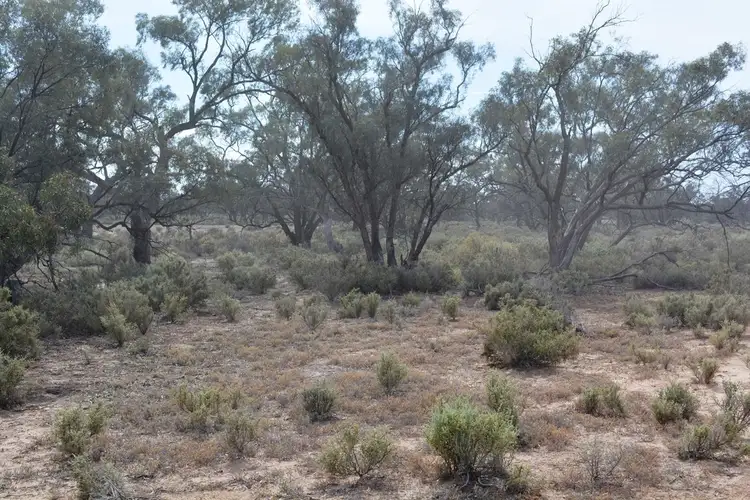 Fifth view of Homely land listing, Lot 3 Low Darling Road, Wentworth NSW 2648