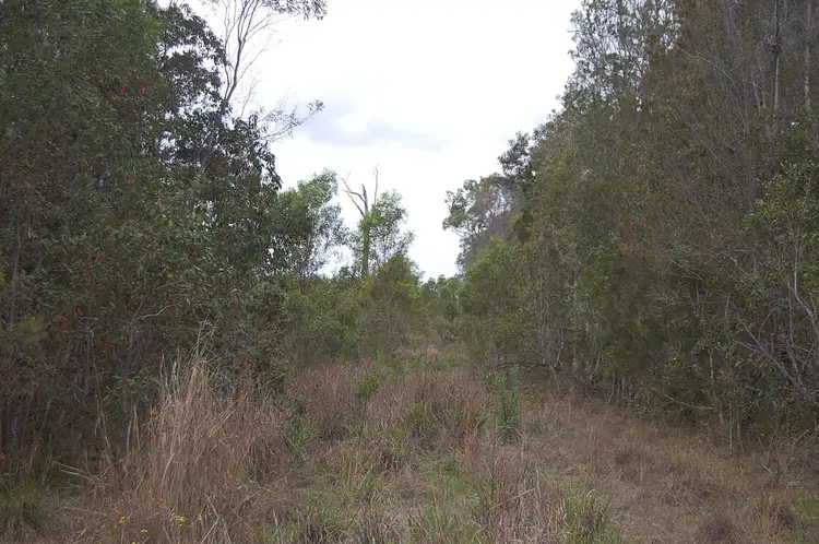 Main view of Homely rural property listing, Old Tenterfield Road, CAMIRA CREEK via, Camira NSW 2469