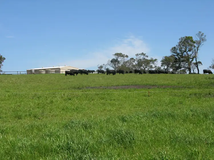 Seventh view of Homely rural property listing, 83 Lilydale Road, Youngs Siding WA 6330