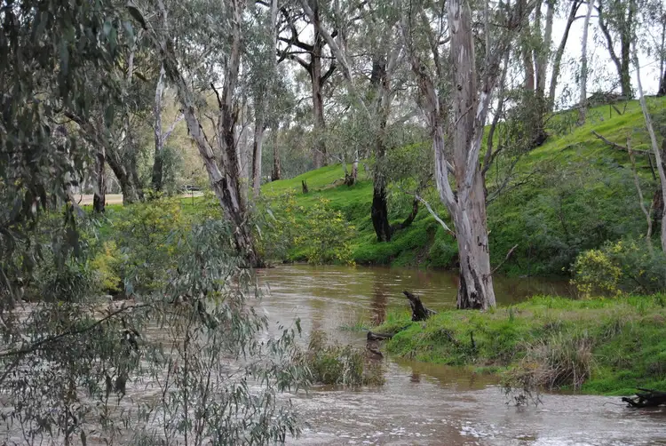 Third view of Homely rural property listing, 59 Franks Road, Chiltern Valley VIC 3683