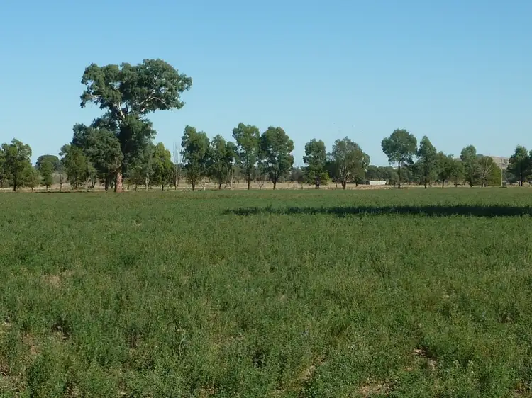 Seventh view of Homely rural property listing, 1528 Sturt Highway, Borambola via, Wagga Wagga NSW 2650