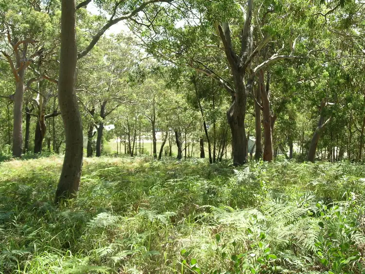 Second view of Homely rural property listing, 242 & 248 Gan Gan Road, Anna Bay NSW 2316