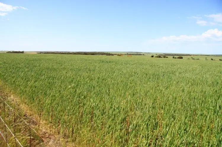 Sixth view of Homely rural property listing, 1488 Mt Vernon Road, Newdegate WA 6355