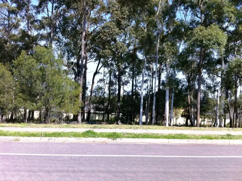 Main view of Homely land listing, 100 Waikiki Road, Bonnells Bay NSW 2264