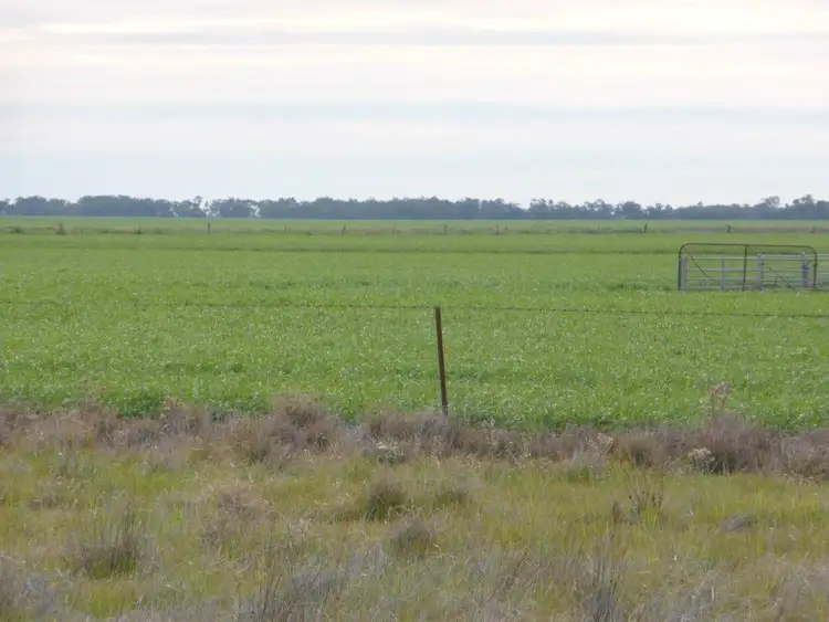 Fourth view of Homely rural property listing, - Buncrana East, Jerilderie NSW 2716