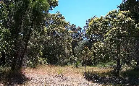 Fourth view of Homely land listing, Lot 97 (62) Ridgeway Drive, Quedjinup WA 6281