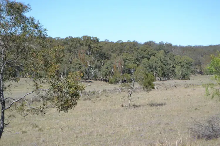 Seventh view of Homely rural property listing, Lot 1 Pechey-Maclagan Rd, Groomsville QLD 4352