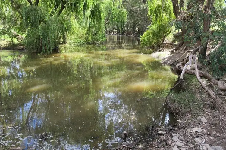 Second view of Homely rural property listing, 346 Gardiners Road, Mudgee NSW 2850