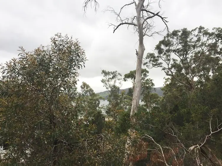 Fourth view of Homely land listing, 23 Coxs Drive, Dennes Point TAS 7150