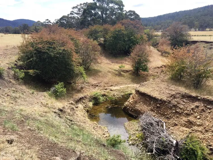 Seventh view of Homely rural property listing, 3308 Tasman Highway, Orielton TAS 7172