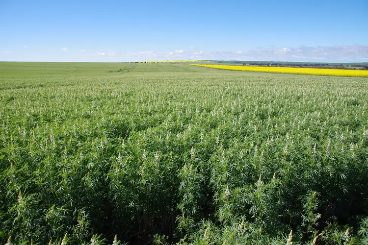 Seventh view of Homely rural property listing, Address available on request