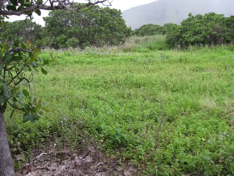 Second view of Homely rural property listing, Address available on request