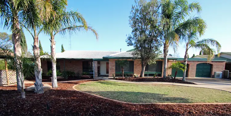 186 Thurk Street, Renmark SA 5341
