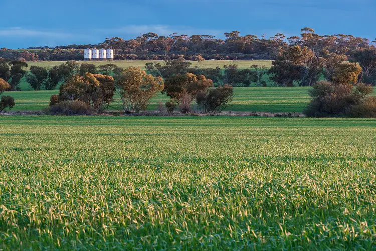 Fourth view of Homely rural property listing, Mt Grey Group Nungarin North Road, Nungarin WA 6490