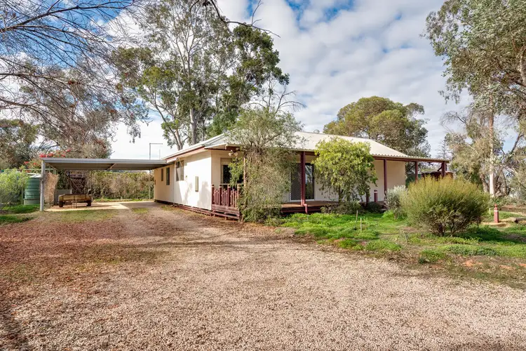 Main view of Homely rural property listing, 219 DAIRTNUNK AVENUE, Irymple VIC 3498